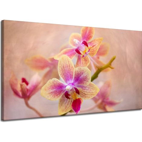 Stampa su tela Botanica Fiore Orchidea 120x70 cm
