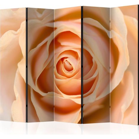Paravento - Peach-colored rose II [Room Dividers] - 225x172 (1/4)