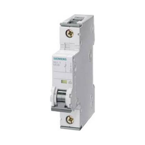 Interrupteur Siemens 5sy5106-6 6 A 1 pôle