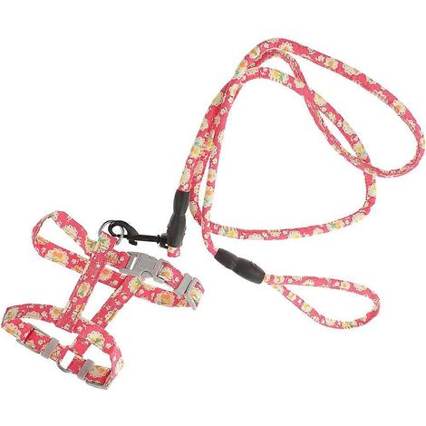 Arnés ajustable para gatos, arnés y correa para mascotas de exterior, 3 piezas para paseos. (1/5)
