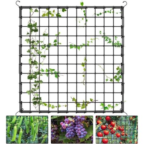 Filet de Culture pour Plantes Grimpantes 120 X 120cm - Treillis Jardin Élastique Noir avec 4 Crochets, Filet de Culture Élastique (1/4)
