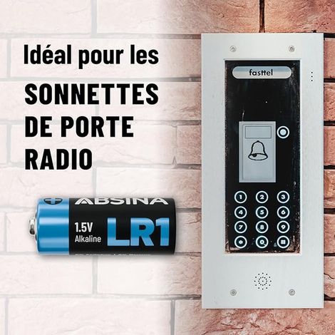 ABSINA LR1 N Lady Battery for Garage Door Opener, Calculator and Well (1/3)
