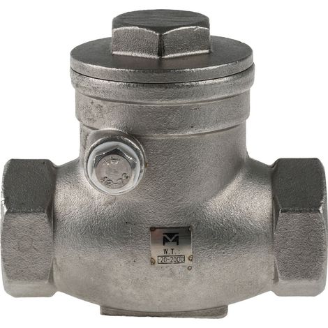 Clapet antiretour en Acier inoxydable RS PRO BSP 3/4" ( Prix pour 1 ) (1/3)