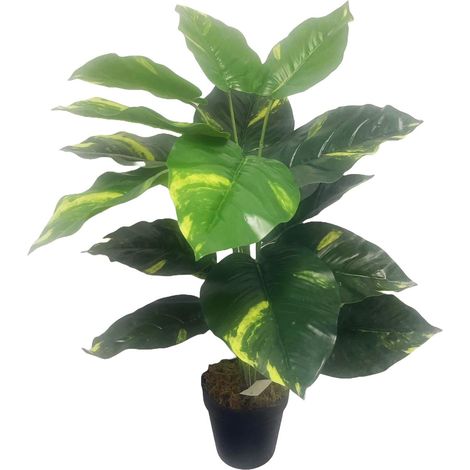 60cm Artificial Devil's Ivy (Scindapsus Aureus) Plant (1/5)
