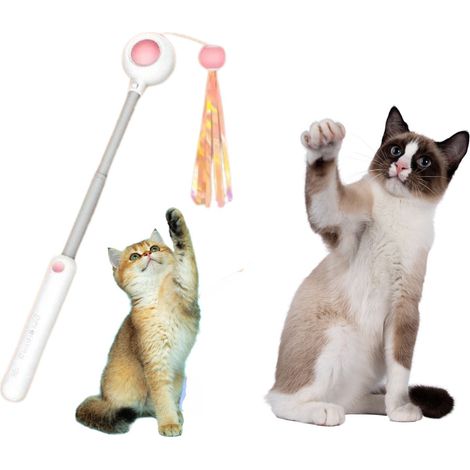 Giocattolo interattivo a forma di canna da pesca per gatti (1/5)
