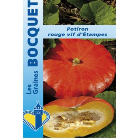 Potiron 'Rouge vif d'Etampes' le sachet de 20 graines (7g) (1/2)