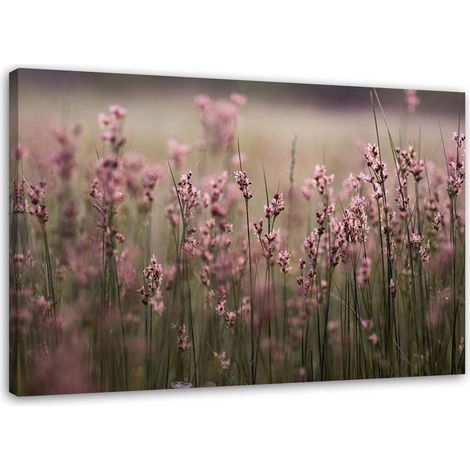 Cadre déco Fleurs des champs Rose Nature 100x70 (1/5)
