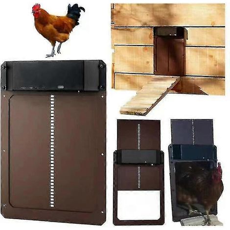 Ouvre-porte automatique pour poulailler avec capteur de luminosité - Aespa (1/5)