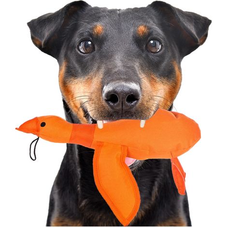 Anatra squittente PER CANI giocattolo da masticare resistente PER il riporto (1/5)