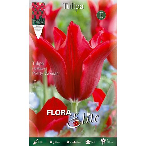 Bulbi di Tulipano a Lily-Flowered Pretty Woman (CONFEZIONE DA 7 BULBI)