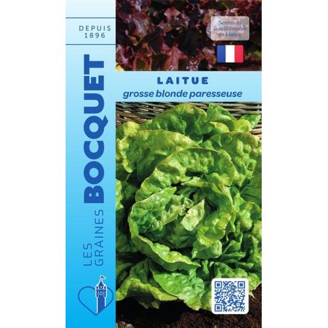 Laitue d'été Grosse blonde paresseuse - 4g
