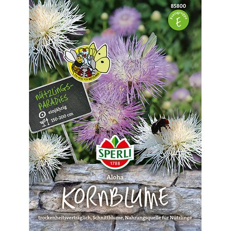 Sperli Kornblumen Aloha - Blumensamen (1/2)