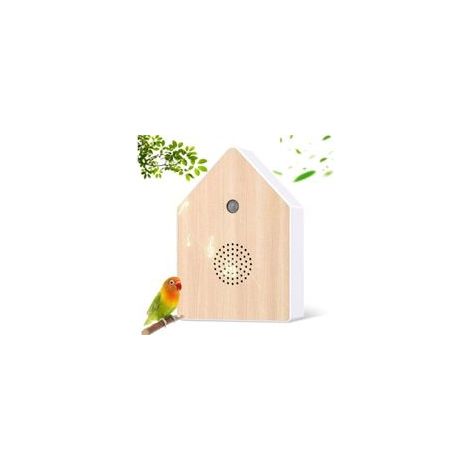 Boîte à Musique Chant des Oiseaux, Boîte à Détecteur de Mouvement avec Support Mural, pour Le Spa, Le Bain et La Relaxation