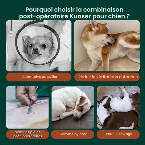 Dog Cat Recovery Suit for Dogs Cats After Surgery Abdominal Wounds Protection / Skin Disease Alternative to Electronic Pet Collar (1/5)