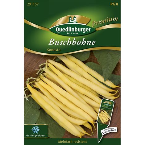 Quedlinburger Saatgut – Haricot nain Sonesta – Graines de légumes, haricot beurre très précoce, gousses jaunes de 13 cm (1/2)