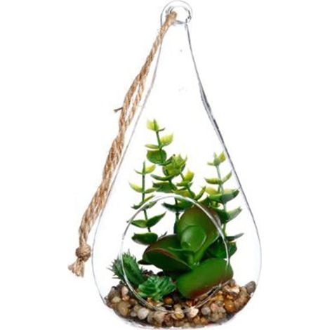 Terrarium en verre, Forme Goutte H19.5 cm - Succulente - SILUMEN (1/3)
