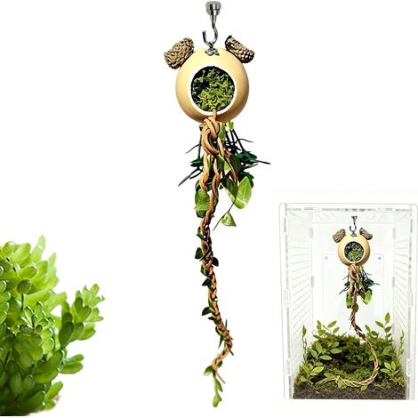 Décor d'escalade Araignée Sauteuse Lianes Reptiles Décoration Habitat Reptile Pour Royal, Serpent, Lézard, Tortue, Dragon Barbu, Grenouille, Tortue Terrestre, Gecko, Mante (1/5)