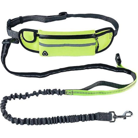 laisse mains libres pour chien