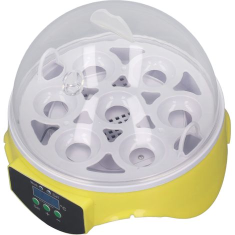 Incubateur 7 œufs, mini-incubateur à température facile pour œufs de poule, canard, oie et caille, prise UE 220 V (1/5)
