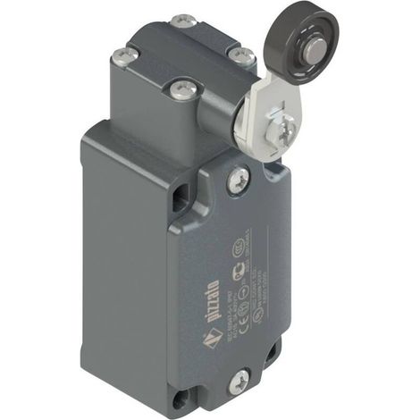 [NEUWERTIG] B-Ware PIZZATO Endschalter Positionsschalter Rollenstößel Schrauben tastend 250 V/AC (1/2)
