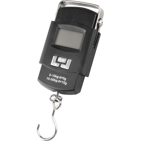 Romana digitale portatile 50 kg küken