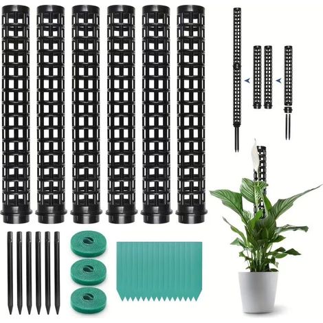 6pcs Poteau de Plante grimpante en Pot， Tuteurs pour Plantes Grimpantes, Poteau Tuteur Plante en Pot, Tuteur pour Plantes Grimpantes pour Plantes (1/5)