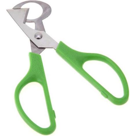 ciseaux à œufs de caille, ciseaux à œufs d'oiseau, coupe-œufs en acier inoxydable, coupe-œufs (1/5)