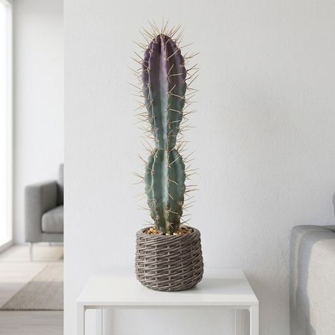 Artificial cactus in EVA Basket (1/2)