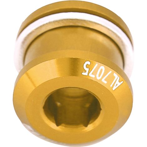 Stück Kurbelarmbolzen aus Aluminiumlegierung für Rennräder, Scheibenbremsen, verlängerte Schrauben, Fahrradzubehör, Gold (1/5)