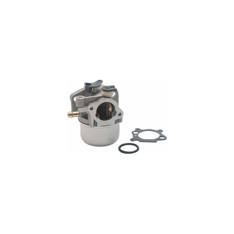 Carburateur adaptable BRIGGS et STRATTON 799871 – Pour moteurs Quantum – Performance optimisée pour outils électroportatifs (1/3)