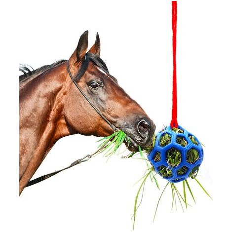 Balle Friandise pour Cheval, Jouet pour Chevaux, Chèvre et Moutons - Soulage Le Stress, Repose (1/5)