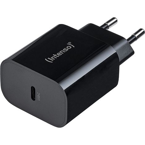 Intenso 7802010 adattatore e invertitore Interno 20 W Nero