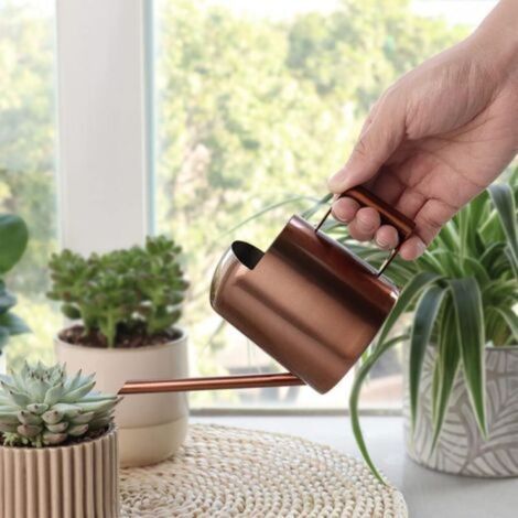 Arrosoir à long bec en acier inoxydable, petit arrosoir, adapté aux plantes succulentes et aux fleurs, usage intérieur et extérieur (300 ml, bronze) (1/5)