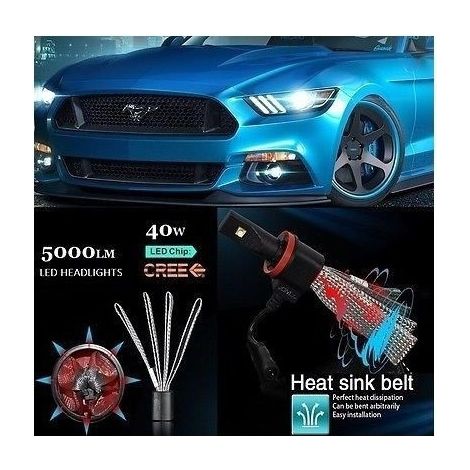 TRADE SHOP - Coppia Lampade Led Per Fari Auto H11 Ricambio 2 5hl Alta Luminosita' Luce Fredda -