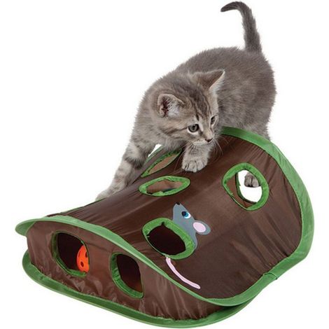 Qcwwy Giocattolo pieghevole per gatti, topo a scomparsa, caccia con pallina a campanellino, giocattolo interattivo per animali domestici e stimolazione per più gatti (1/5)