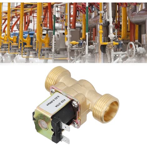 Vanne automatique tout cuivre (modèle fournisseur : vidange d'eau non pressurisée 6 points DC12V) (1/5)