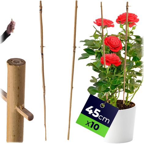 Échelle de support pour plantes, matériau en bambou, hauteur de 45 cm, ensemble de 10 pièces, design multi-niveaux, compatibilité avec les plantes (1/5)