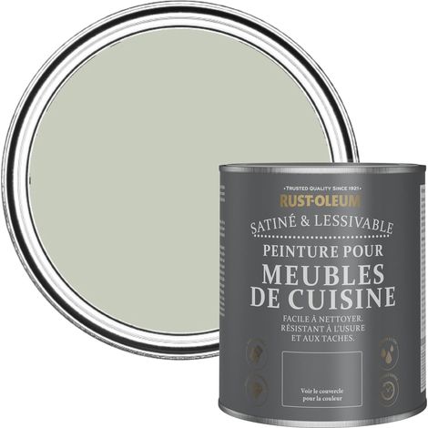 Peinture Verte pour Meubles de Cuisine, Finition Satinée - Aloé Vera 750ml (1/5)