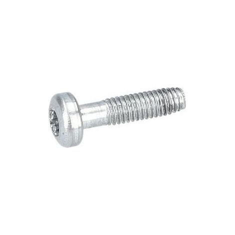 Vis a tete bombee torx pour Ponceuse a beton BOSCH OUTILLAGES - 3603435047