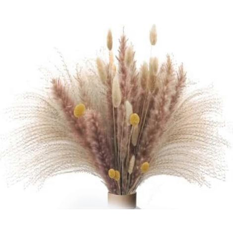 65 Stück natürlicher Pampasgras-Blumenstrauß, getrocknete flauschige Pampas böhmische dekorative Pflanze, getrocknete Blumen für (1/5)