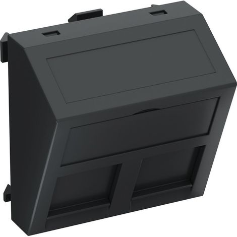 OBO Bettermann Datentechnikträger für 2 Anschlussmodule Typ C 45x45mm Polycarbonat schwarzgrau RAL 7021, 6119252