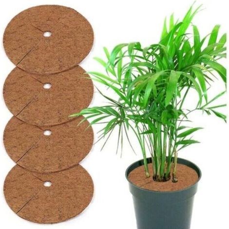 Protection anti-mauvaises herbes en fibre de coco pour plantes en pot, 5 pièces, 20 cm (1/4)