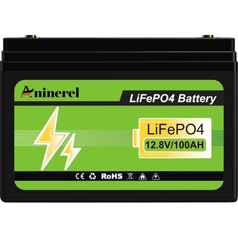 Batterie LiFePO4, capacité 100Ah, BMS intégré, 12V 100AH (1/2)