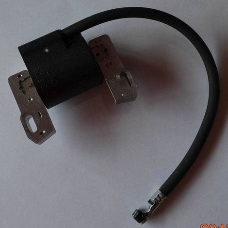 Briggs & Stratton Zündung 691060 799651 843931 844548 845606 (1/4)