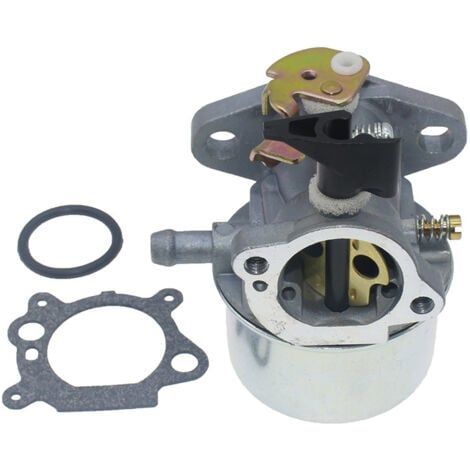 Carburateur avec joint pour moteurs Briggs & Stratton Quantum 45 50 55 XM55 XTE40 XTE50 625 675 Remplace 494216 494217 498965 698056 MTD Wolf 2069029 (1/5)