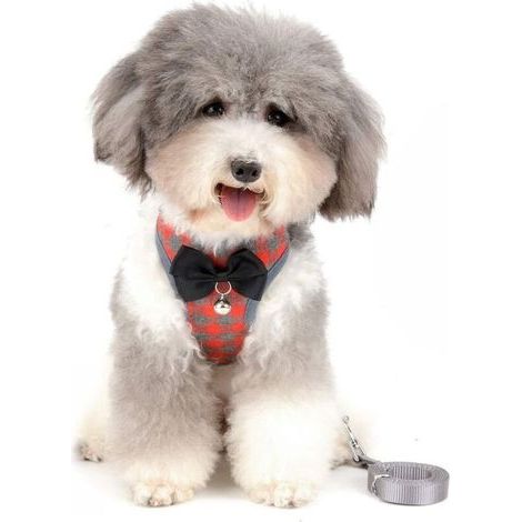 Harnais sans tension pour petit chien (rouge M)-Fei Yu (1/5)