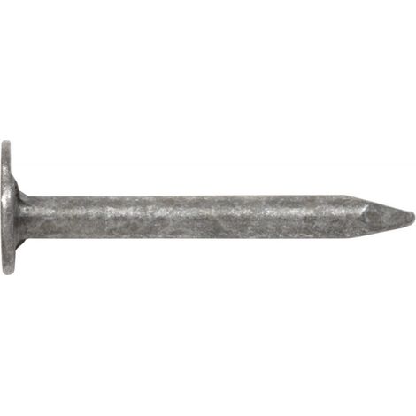 SWG 4009155716381 Clou ardoise (Ø x L) 2.8 mm x 16 mm acier galvanisé à chaud 1 kg (1/2)