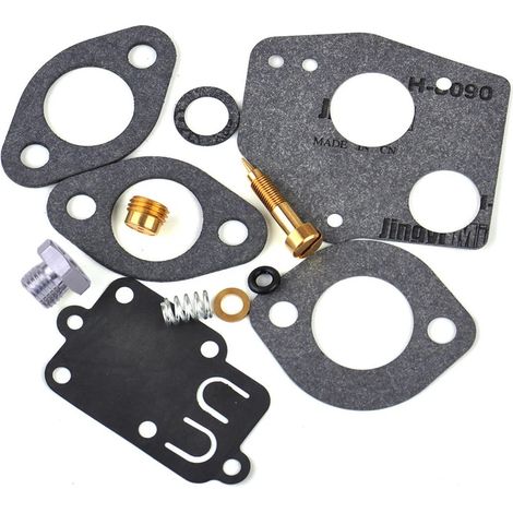 Kit de réparation de carburateur compatible avec Briggs & Stratton 494624 495606. (1/5)