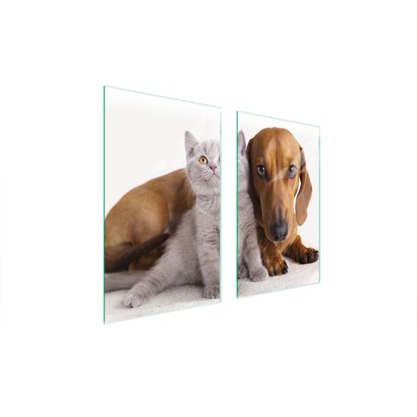 GLASSCHUTZPLATTE FÜR HERD 75x52 TIERE (1/5)