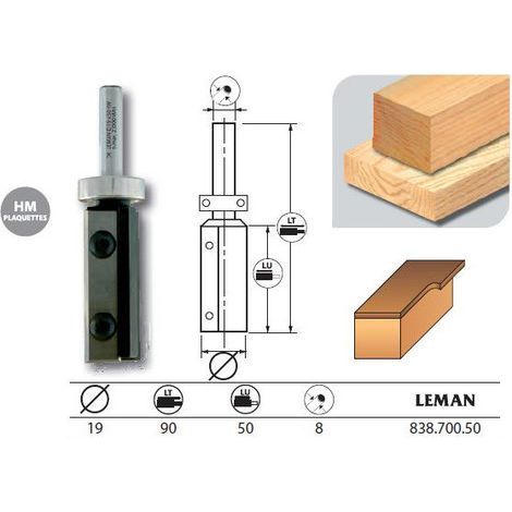 MECHE AFFLEUR 2 PLAQ DROITE D19 LU50 Q8 / RLT SUP HM - 838.700.50 - LEMAN (1/4)